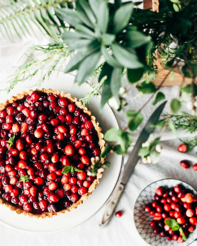 Cranberry Tart with Buttery Crust: A Festive Delight
